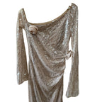 LPA Aniella Gown in Champagne Size M